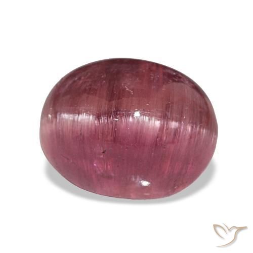 Tourmaline œil de chat Rose foncé naturelle Coupe ovale, 10.64 ct, Translucide