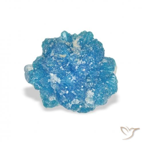 1.97ct Naturel Azur profond Cavansite, Fantaisie, Opaque