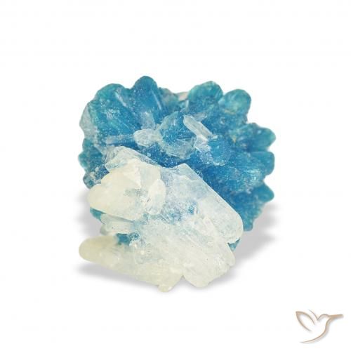 1.30ct Naturel Bleu azur électrique Cavansite, Fantaisie, Opaque