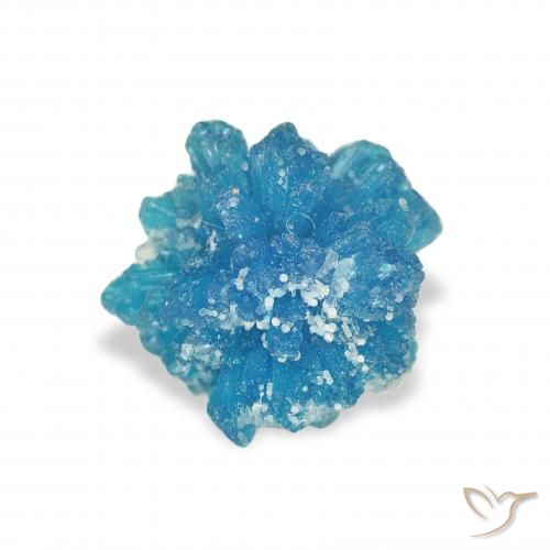 0.97ct Naturel Bleu azur électrique Cavansite, Fantaisie, Opaque