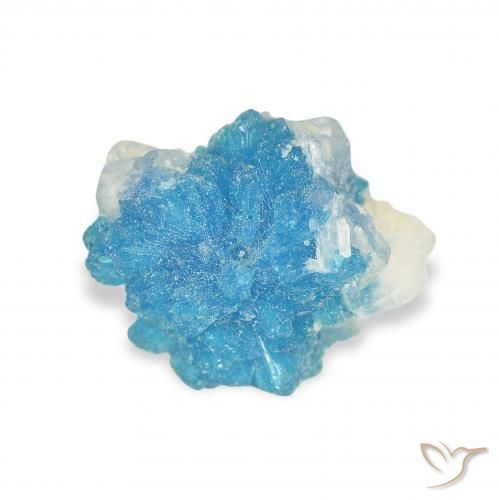 1.83ct Naturel Bleu Yale Cavansite, Fantaisie, Opaque