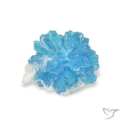 Cavansite Bleu Yale naturelle Fantaisie, 1.06 ct, Opaque