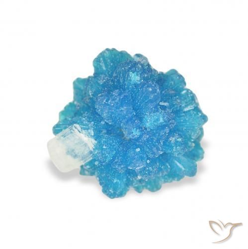 Cavansite Bleu Yale naturelle Fantaisie, 1.36 ct, Opaque