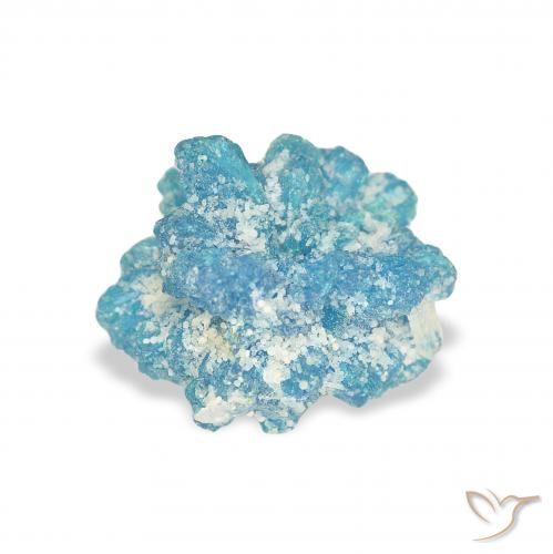 1.53ct Naturel Bleu Yale Cavansite, Fantaisie, Opaque
