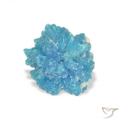 Cavansite Bleu Yale naturelle Fantaisie, 1.53 ct, Opaque
