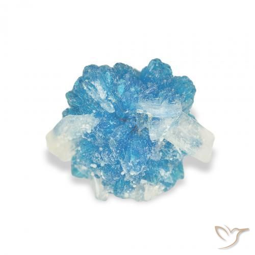 Cavansite Bleu Yale naturelle Fantaisie, 1.75 ct, Opaque