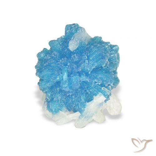 Cavansite Bleu Yale naturelle Fantaisie, 1.86 ct, Opaque
