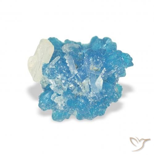 Cavansite Bleu naturelle Fantaisie, 1.51 ct, Opaque