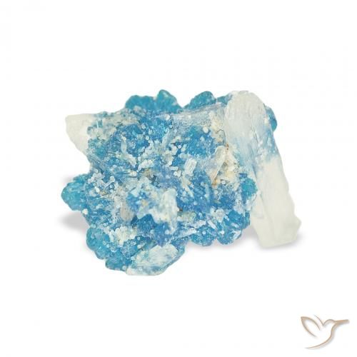 Cavansite Bleu naturelle Fantaisie, 1.51 ct, Opaque