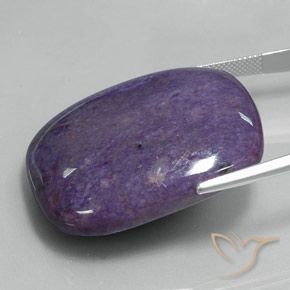 Charoïte Violet foncé naturelle Coussin, 87.70 ct, Opaque