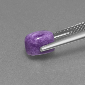 Charoïte Violet naturelle Coupe ovale, 1.50 ct, Opaque