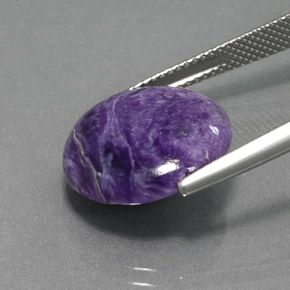 Charoïte Violet naturelle Coupe roude, 8.00 ct, Opaque