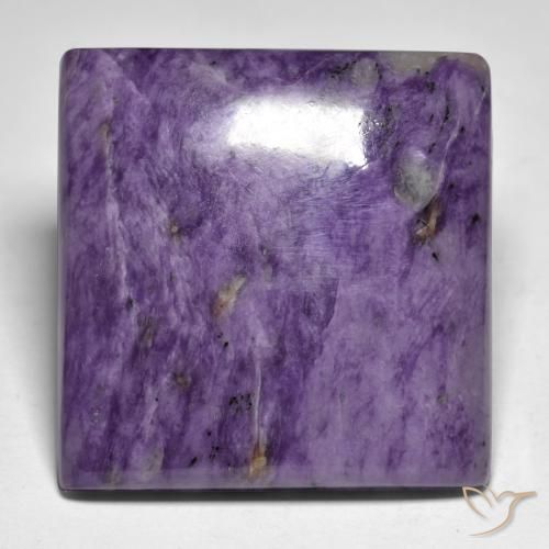 61.05ct Naturel Violet foncé Charoïte, Carré, Opaque