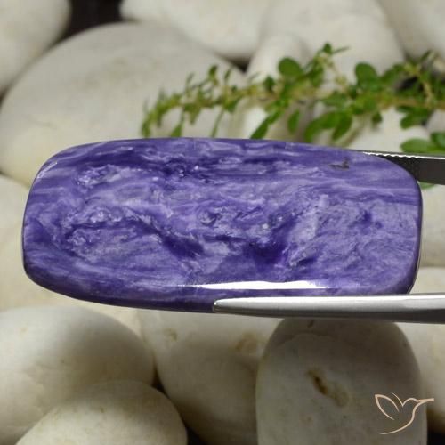 Charoïte Violet intense naturelle Coussin, 48.33 ct, Opaque