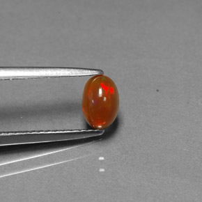 Opale Chocolat Multicolore naturelle Transparent, 0.43 ct, Transparent / Translucide