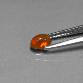 Opale Chocolat Multicolore naturelle Transparent, 0.43 ct, Transparent / Translucide