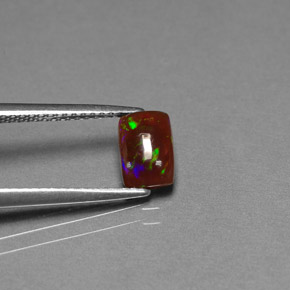 Opale chocolat multicolore naturelle transparent, 0,64 ct, transparent / translucide