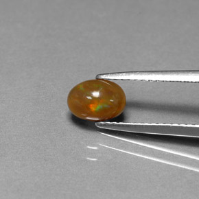 Opale Chocolat Multicolore naturelle Coupe ovale, 0.54 ct, Opaque