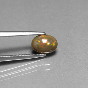 Opale chocolat multicolore naturelle coupe ovale, 0,46 ct, opaque