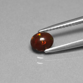 Opale Chocolat Multicolore naturelle Coupe ovale, 0.43 ct, Opaque