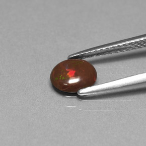 Opale Chocolat Multicolore naturelle Coupe ovale, 0.44 ct, Opaque