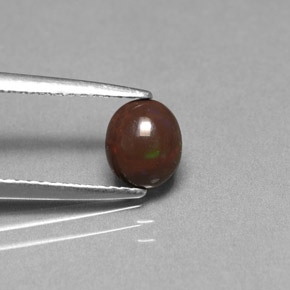 Opale Chocolat Multicolore naturelle Coupe ovale, 0.49 ct, Opaque