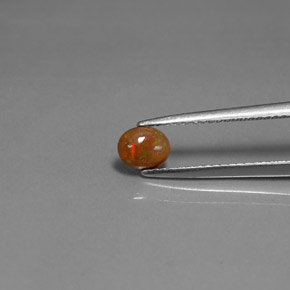 Opale Chocolat Multicolore naturelle Coupe ovale, 0.34 ct, Opaque