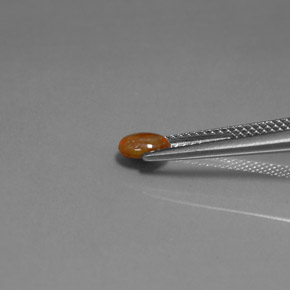 Opale Chocolat Multicolore naturelle Coupe ovale, 0.34 ct, Opaque