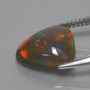 Opale Chocolat Multicolore naturelle Forme fantaisie, 2.59 ct, Opaque