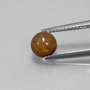 Opale Chocolat Multicolore naturelle Coupe roude, 0.60 ct, Translucide