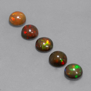 Achetez naturel ct Multicolore Opale Chocolat gems, Coupe roude, En provenance Ethiopie chez GemSelect. En stock, livraison internationale!