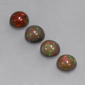 Achetez naturel ct Multicolore Opale Chocolat gems, Coupe roude, En provenance Ethiopie chez GemSelect. En stock, livraison internationale!