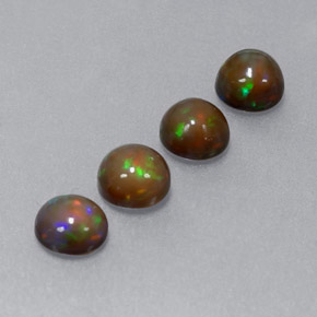 Achetez naturel ct Multicolore Opale Chocolat gems, Coupe roude, En provenance Ethiopie chez GemSelect. En stock, livraison internationale!