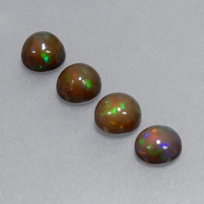 Achetez naturel ct Multicolore Opale Chocolat gems, Coupe roude, En provenance Ethiopie chez GemSelect. En stock, livraison internationale!