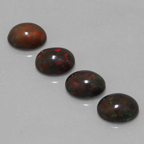 Achetez naturel 3.46ct Multicolore Opale Chocolat gems, Coupe ovale, En provenance Ethiopie chez GemSelect. En stock, livraison internationale!