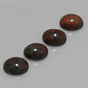 Achetez naturel 3.46ct Multicolore Opale Chocolat gems, Coupe ovale, En provenance Ethiopie chez GemSelect. En stock, livraison internationale!