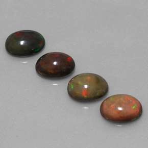 Achetez naturel ct multicolore opale chocolat gems, coupe ovale, en provenance ethiopie chez gemselect. en stock, livraison internationale!