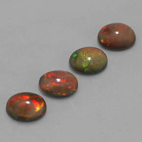 Achetez naturel ct Multicolore Opale Chocolat gems, Coupe ovale, En provenance Ethiopie chez GemSelect. En stock, livraison internationale!