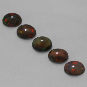 Achetez naturel ct Multicolore Opale Chocolat gems, Coupe ovale, En provenance Ethiopie chez GemSelect. En stock, livraison internationale!