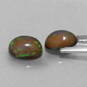 Achetez naturel ct multicolore opale chocolat gems, coupe ovale, en provenance ethiopie chez gemselect. en stock, livraison internationale!