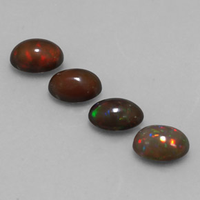 Achetez naturel ct multicolore opale chocolat gems, coupe ovale, en provenance ethiopie chez gemselect. en stock, livraison internationale!