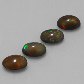 Achetez naturel 2,14ct multicolore opale chocolat gems, coupe ovale, en provenance ethiopie chez gemselect. en stock, livraison internationale!