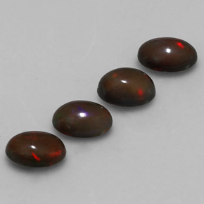 Achetez naturel ct Multicolore Opale Chocolat gems, Coupe ovale, En provenance Ethiopie chez GemSelect. En stock, livraison internationale!
