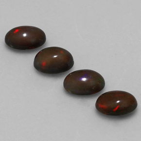 Achetez naturel ct Multicolore Opale Chocolat gems, Coupe ovale, En provenance Ethiopie chez GemSelect. En stock, livraison internationale!