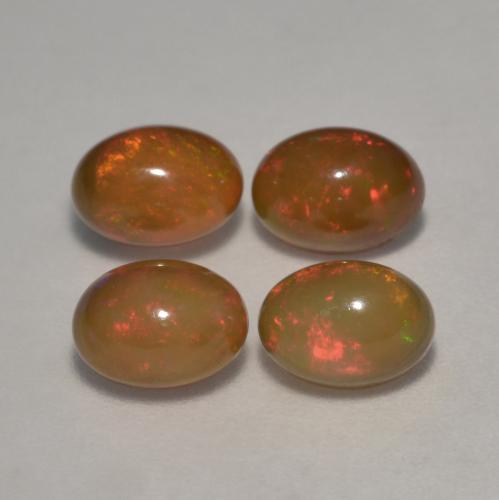 Achetez naturel 2,83ct multicolore opale chocolat gems, coupe ovale, en provenance ethiopie chez gemselect. en stock, livraison internationale!