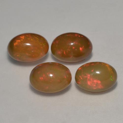 Achetez naturel 2,83ct multicolore opale chocolat gems, coupe ovale, en provenance ethiopie chez gemselect. en stock, livraison internationale!