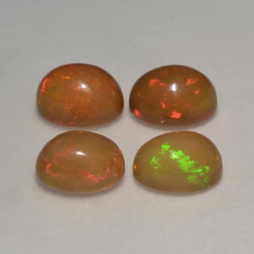 Achetez naturel 2,83ct multicolore opale chocolat gems, coupe ovale, en provenance ethiopie chez gemselect. en stock, livraison internationale!