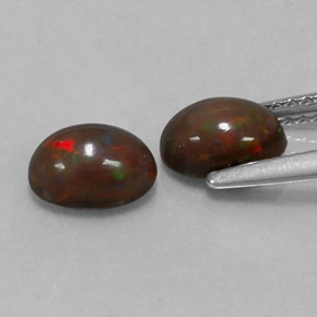 Achetez naturel ct multicolore opale chocolat gems, coupe ovale, en provenance ethiopie chez gemselect. en stock, livraison internationale!
