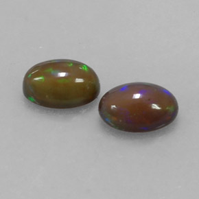 Achetez naturel ct multicolore opale chocolat gems, coupe ovale, en provenance ethiopie chez gemselect. en stock, livraison internationale!
