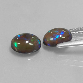 Achetez naturel ct multicolore opale chocolat gems, coupe ovale, en provenance ethiopie chez gemselect. en stock, livraison internationale!